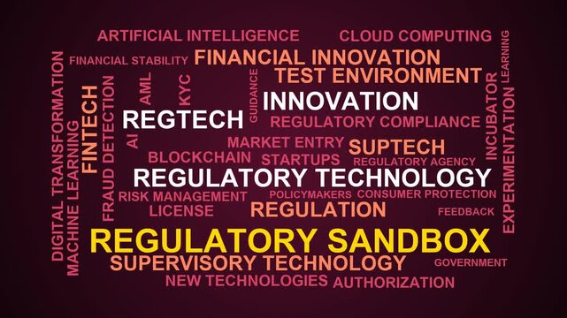 Regulatory Sandbox Word Cloud