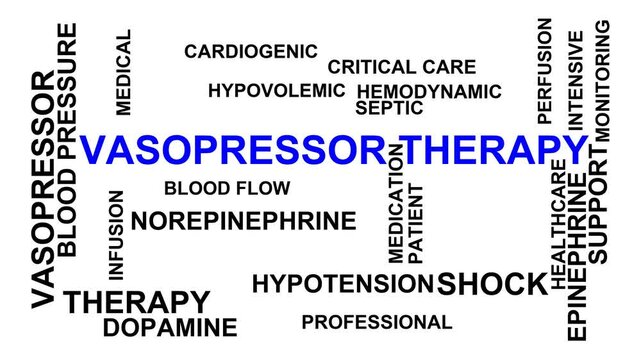 Vasopressor Therapy Word Cloud