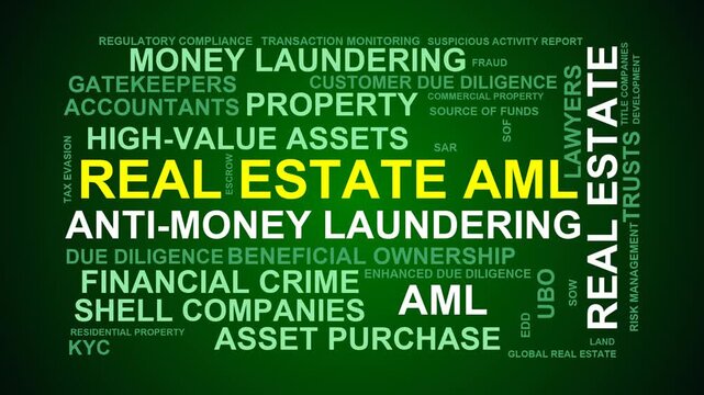 Real Estate Aml Word Cloud