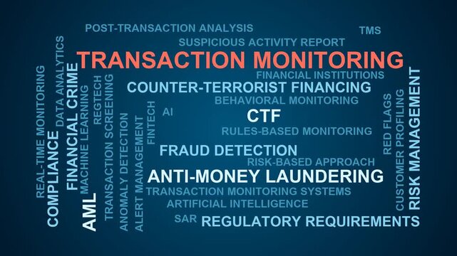 Transaction Monitoring Word Cloud