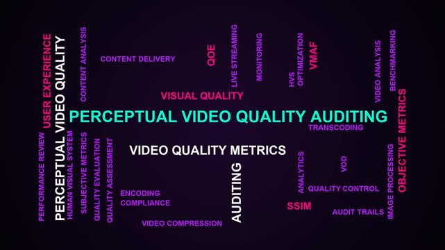 Perceptual Video Quality Auditing Word Cloud