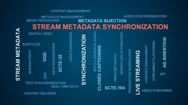 Stream Metadata Synchronization Word Cloud