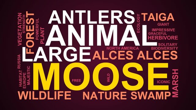 Moose Word Cloud