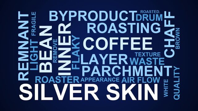 Silver Skin Word Cloud