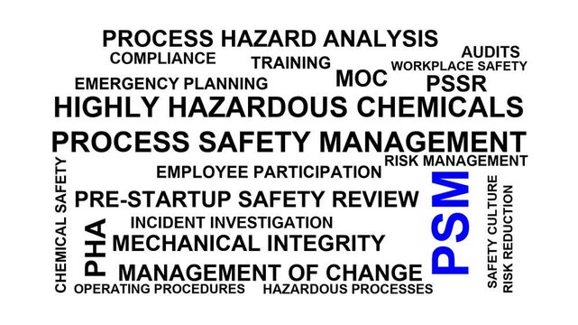 Psm Word Cloud