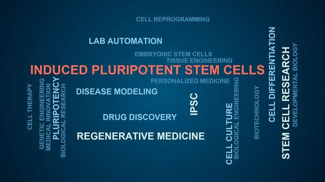 Induced Pluripotent Stem Cells Word Cloud