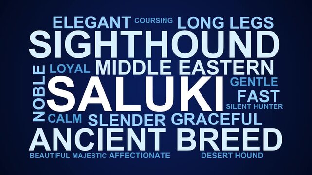 Saluki Word Cloud