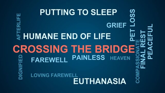 Crossing The Bridge Word Cloud