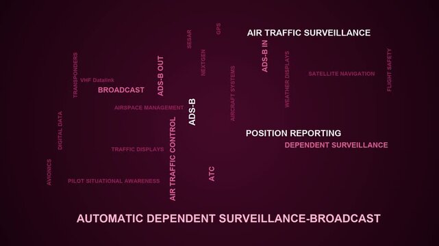 Automatic Dependent Surveillance-Broadcast Word Cloud