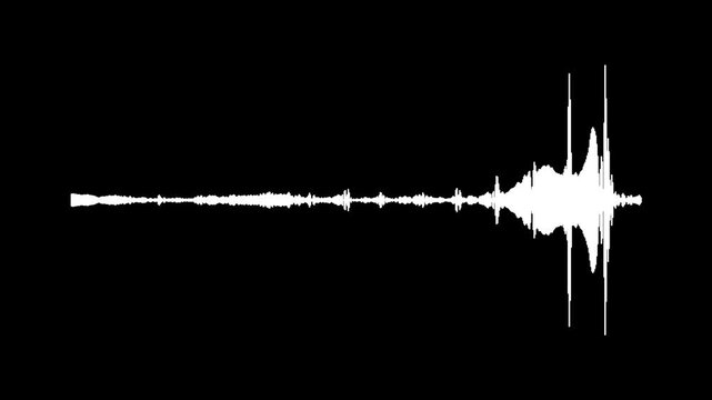White line audio waveform on black background, digital sound spectrum animation, high frequency visualization, digital audio spectrum visualizer, music frequency waveform, 4k video