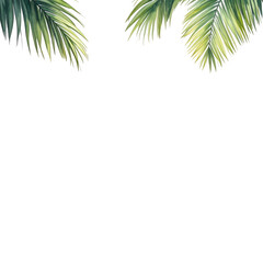Obraz premium Watercolor illustration of green palm fronds with black background