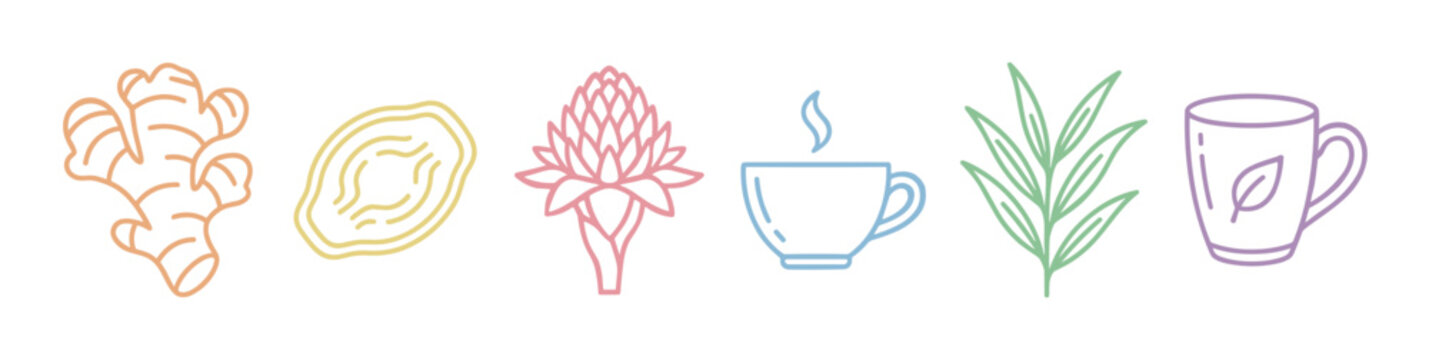 Natural ginger, herbal tea, and wellness ingredient illustrations presented in a charming pastel line art style, perfect for health and relaxation themes.