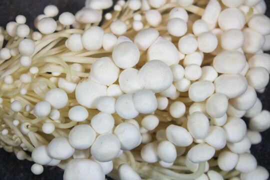 Close-up of fresh raw white enoki mushrooms arranged for cooking