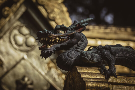 Dragon Nikko