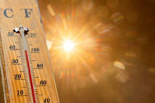 burning sun in summer   heat wave
