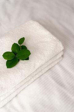 Soft white towels on a clean hotel bed with a small green plant on top