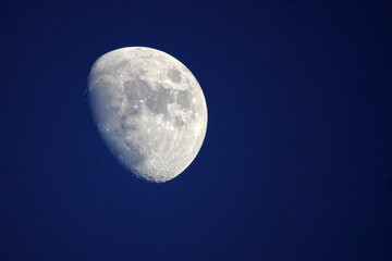 Full moon with craters in deep blue night sky.  © Mark