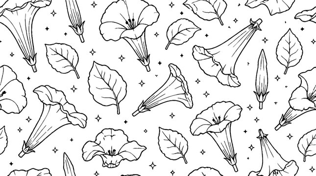 Detailed botanical illustration of morning glory flowers and leaves.