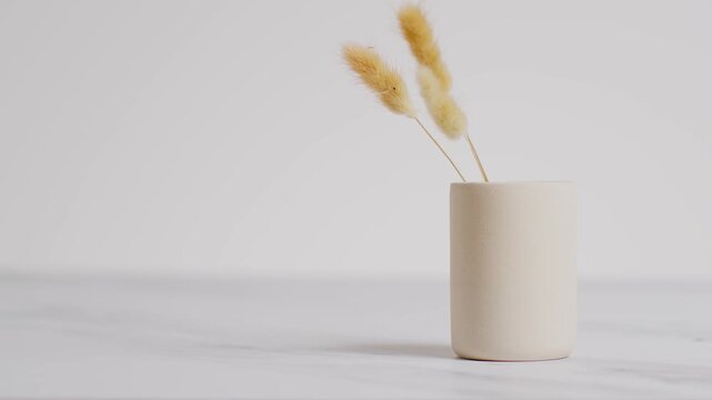 Minimalist Ceramic Vase with Dried Bunny Tail Grass on Neutral Background