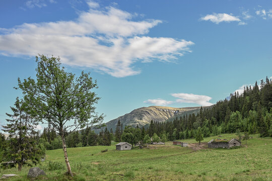 Abandoned Summer Farm in Hedmark Mountains Surrounded by Forest and Meadow
