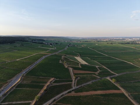 Aerial view of the vast green vineyards featuring rolling hills, neat rows of vines, and winding rural roads in the wine region in Beaune, Bourgogne-Franche-Comte, France.