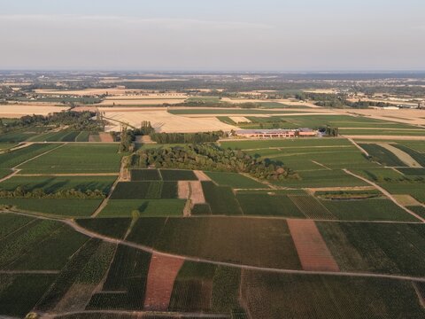 Aerial view of the vineyards and agricultural fields surrounding the town of Beaune, Bourgogne-Franche-Comte, France.
