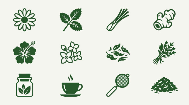 Flat minimal vector icon set of 12 herbal tea plants: chamomile flower, peppermint leaves, lemongrass stalk, ginger slice, hibiscus flower, jasmine flower, dried tea leaves, tea herb bundle, tea jar 