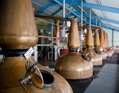 Traditional Copper Pot Stills Inside a Scotch Whisky Distillery in Scotland