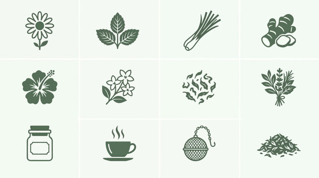 Flat minimal vector icon set of 12 herbal tea plants: chamomile flower, peppermint leaves, lemongrass stalk, ginger slice, hibiscus flower, jasmine flower, dried tea leaves, tea herb bundle, tea jar 