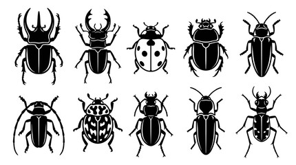Fototapeta premium Beetle insects and exotic bugs vector silhouettes set