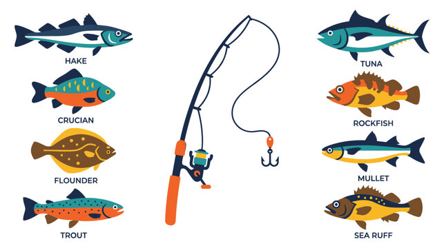 Fishing equipment collection with various fish species and spinning rod with hook design.