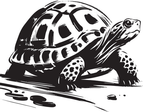 Elegant Sumi-e Style Illustration Depicting a Box Turtle with In