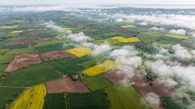 Aerial view of patchwork farmland with colorful yellow rapeseed and green crops under soft white clouds in the rural countryside landscape during spring