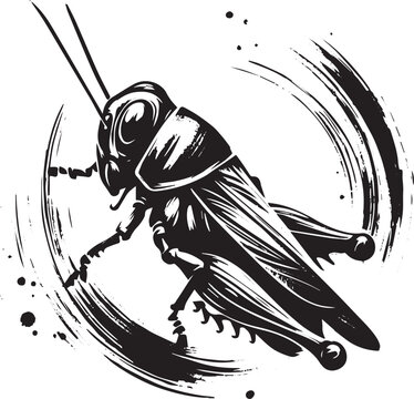 Monochrome sketch of a leafhopper in a gestural ink style captur