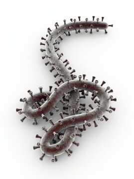 Detailed 3D Rendering of a Single Ebola Virus Particle with Spike Proteins, Isolated on White Background