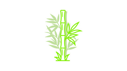 Fototapeta premium Green Bamboo Plant Illustration on White Background