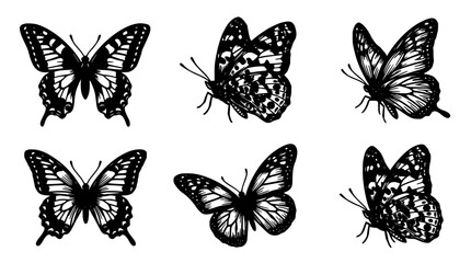 Butterfly Set Icon Illustrations in Black Ink Style with White Background, Hand-Drawn Texture and Decorative Wings for Design © MdBiplob