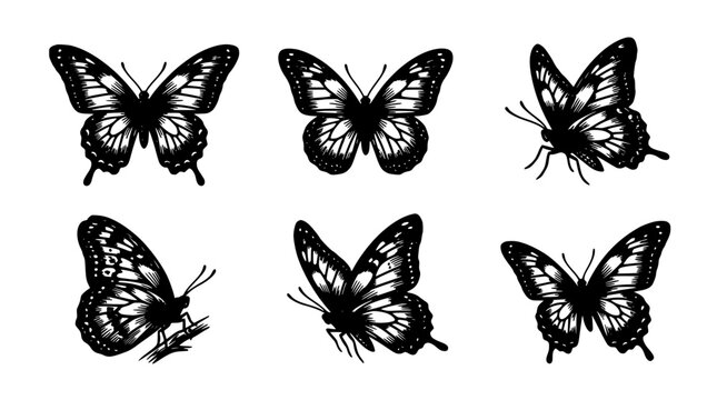 Butterflies Set of Six Black and White Hand Drawn Style Insect Illustrations on White Background Featuring Butterfly, Wings, Moth