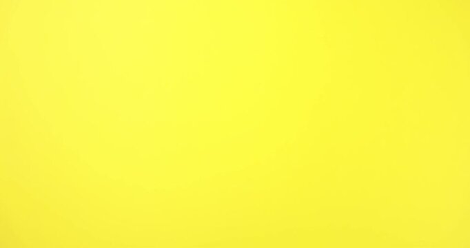 LGBT concept. Women bumping fists on yellow background, closeup