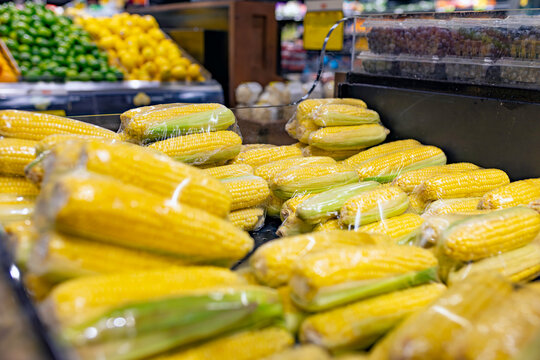 Perspective view of prepackaged sweet corn cobs wrapped in plastic film on display in supermarket grocery store