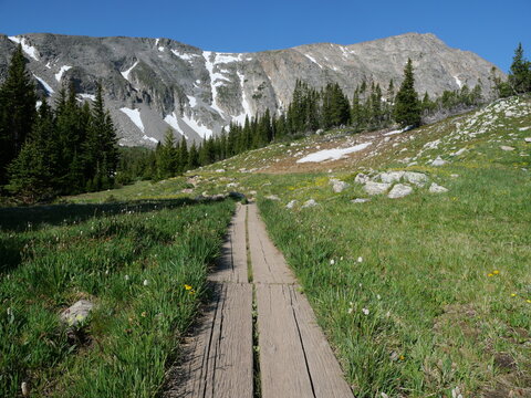 Boardwalk trail through alpine meadow with lingering snow in the Indian Peaks Wilderness, Colorado