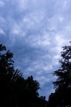 Dark silhouette of trees form a V at the bottom of the screen against a light background of a cloudy and stormy evening or even night time sky