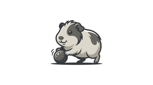 Cute Guinea Pig Playing with Ball.