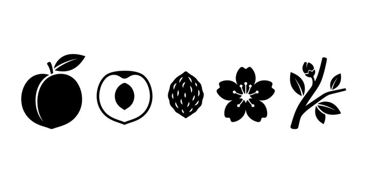 Black icons of apple, peach, pineapple, cherry blossom and sakura branch