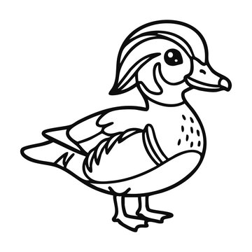 Cute Wood Duck Standing Cartoon Vector Illustration for Kids Coloring Page