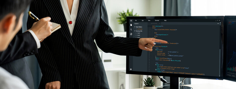 Software development programming on computer screen for brisk application and program coding