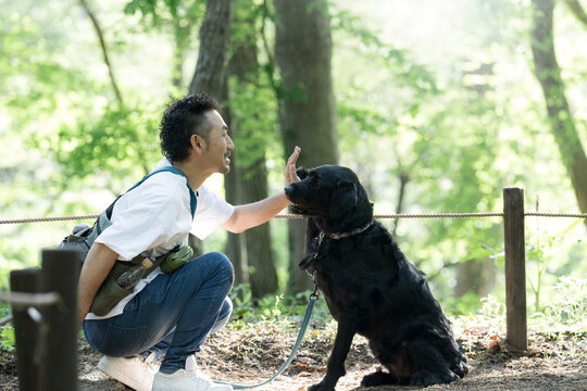 犬と見つめ合う仲良しの散歩を楽しむ男性 公園で大型犬のペットに躾をするライフスタイル　ハイタッチで見つめ合う