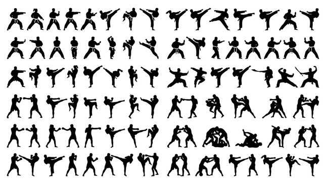 Martial arts silhouettes featuring karate kickboxing and grappling