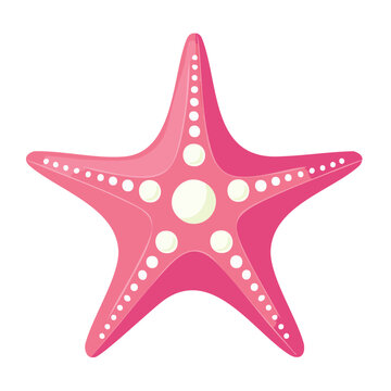 Pink starfish vector illustration