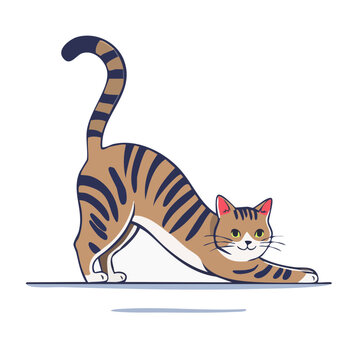 Striped cat stretching in flat vector style